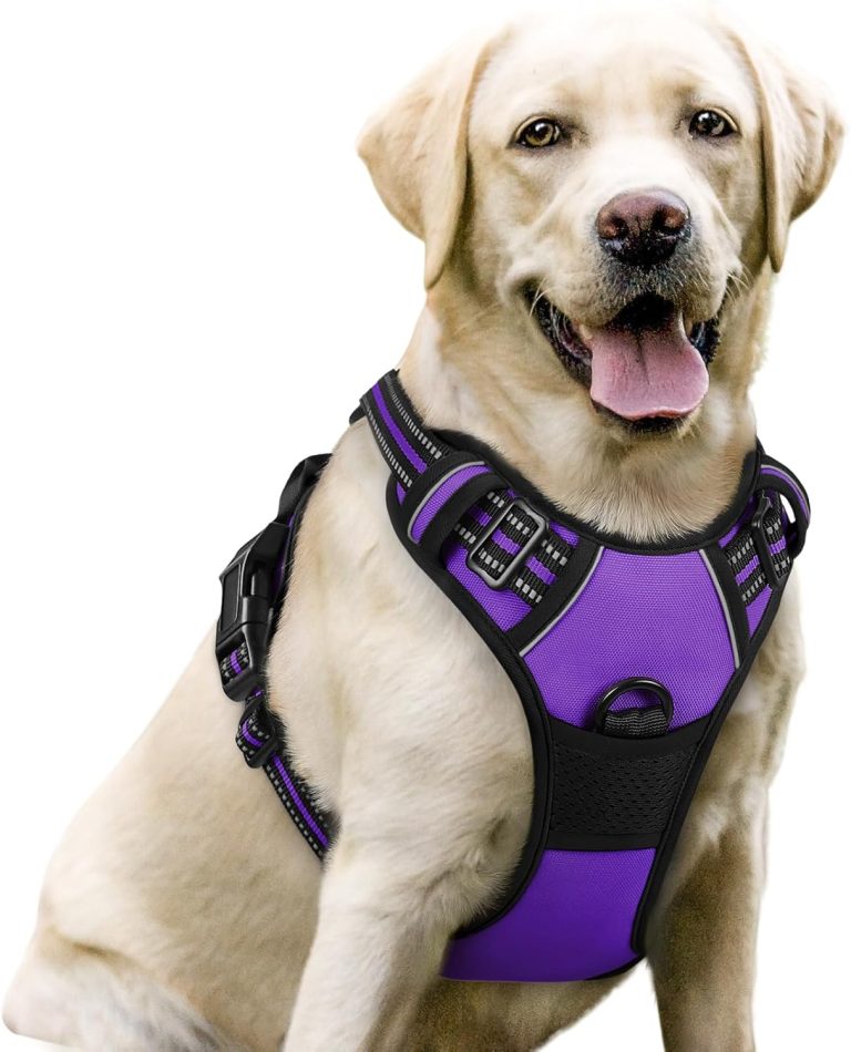 Rabbitgoo No-Pull Dog Harness — Padded, Reflective, Size M