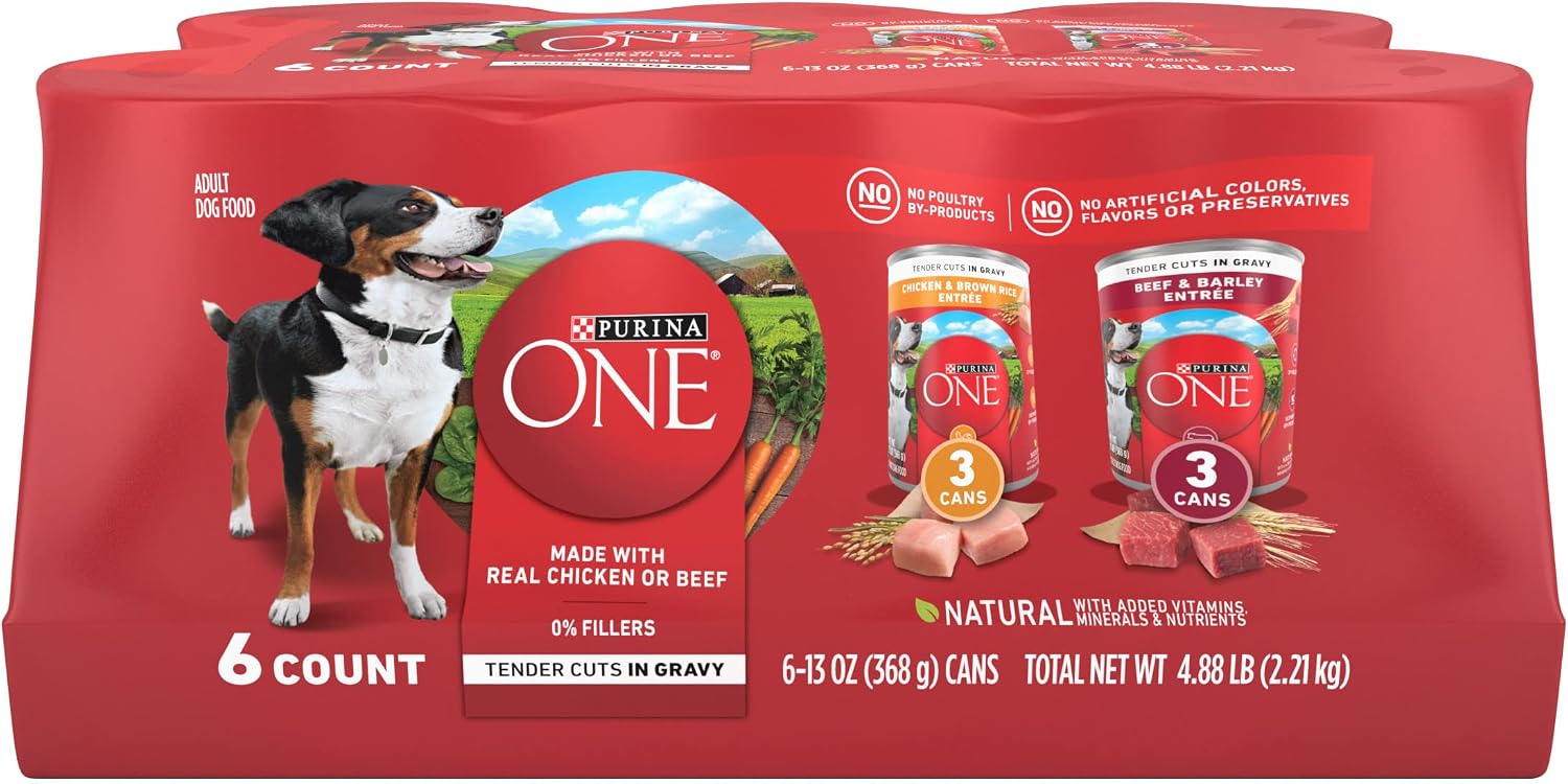 Purina ONE SmartBlend Wet Dog Food